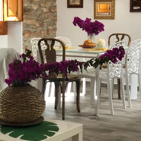 Villa Tutu Llar Us Turistic à Amposta Extérieur photo